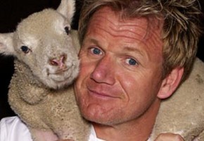 Gordon Ramsay cuddles with dinner.